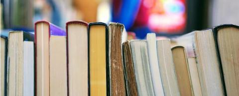  Regolamento